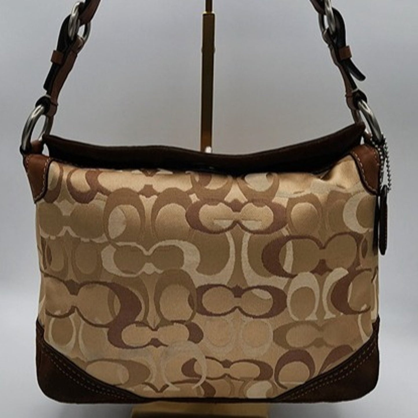 Coach Chelsea Hobo Tote